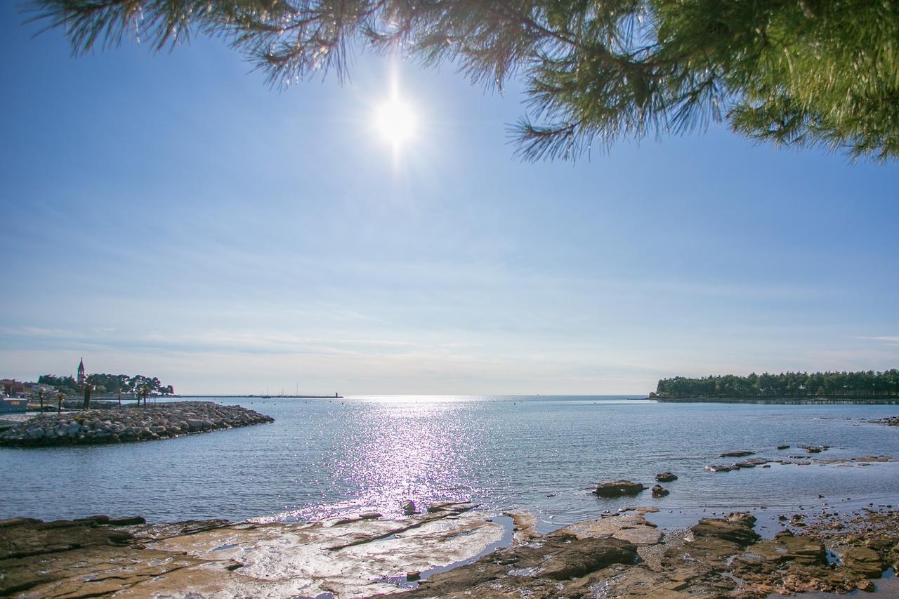 Novigrad Istria Apartment Morena מראה חיצוני תמונה